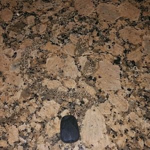 Barse bronze necklace and earrings